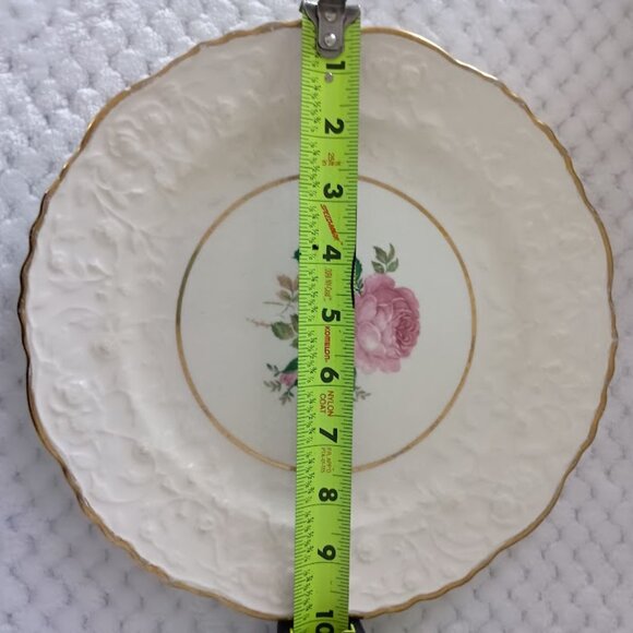 Pope Gosser Vintage Rose Point 10" Plate - Picture 7 of 8